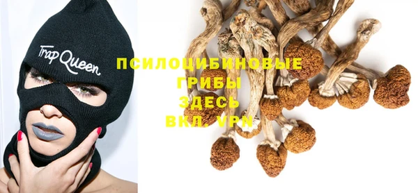 бутират Арсеньев